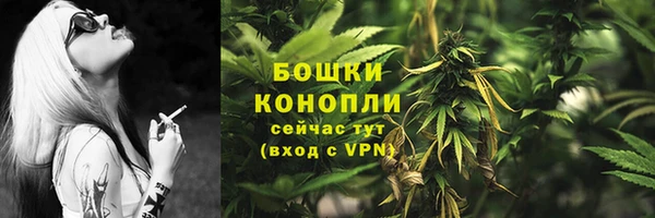 прущий лед Щигры