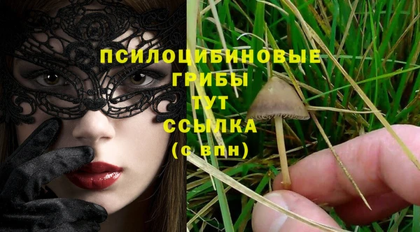 прущий лед Щигры