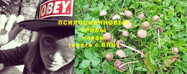 прущий лед Щигры
