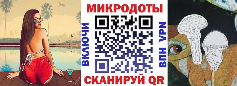 Купить  Абакан  Псилоцибиновые грибы Psilocybe 